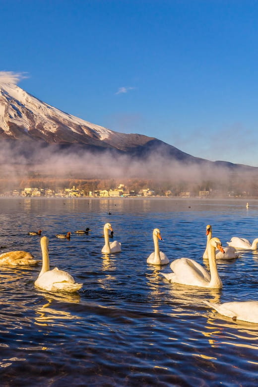 Mount Fuji: Exclusive Private Car Tour - Key Points