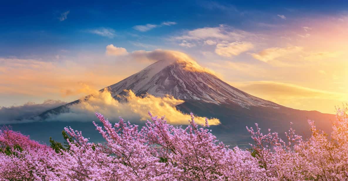 Mount Fuji: Exclusive Private Car Tour - Itinerary and Optional Activities