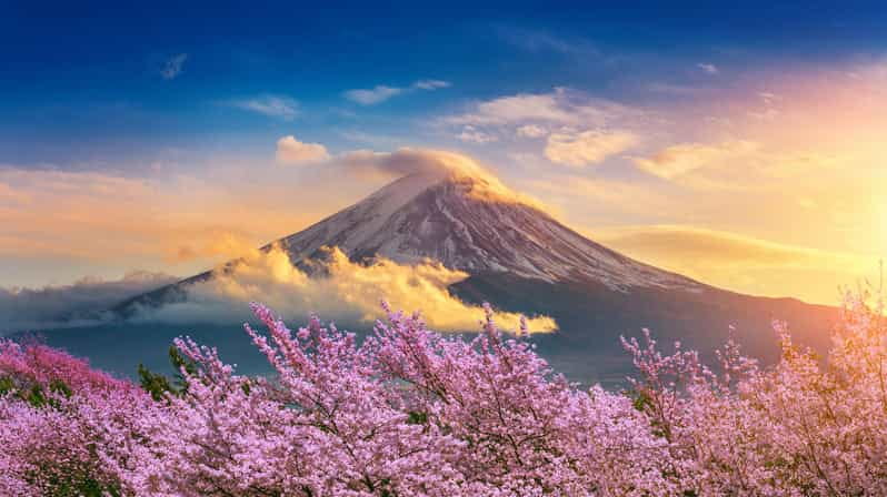Mount Fuji: Exclusive Private Car Tour - Customizable Excursion to Mt. Fuji