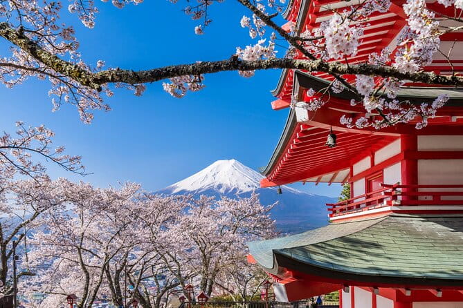 Mount Fuji Five Lakes Tour From Tokyo With Guide & Vehicle - Frequently Asked Questions