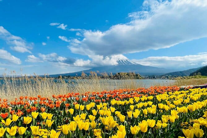 Mount Fuji Four Iconic Scenic Spots Day Tour From Tokyo - Meeting and Departure Details