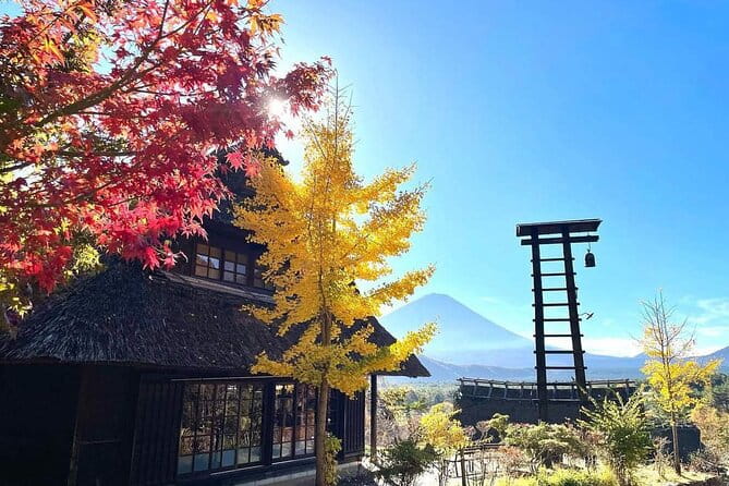 Mount Fuji Four Iconic Scenic Spots Day Tour From Tokyo - Accessibility and Restrictions