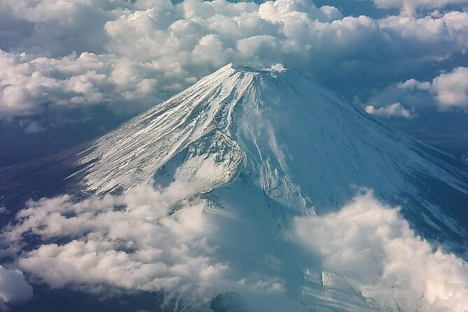 Mount Fuji Four Iconic Scenic Spots Day Tour From Tokyo - Saiko Healing Village Root Field