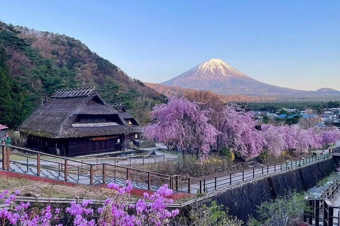 Mount Fuji Four Iconic Scenic Spots Day Tour From Tokyo - Transportation and Guide Service