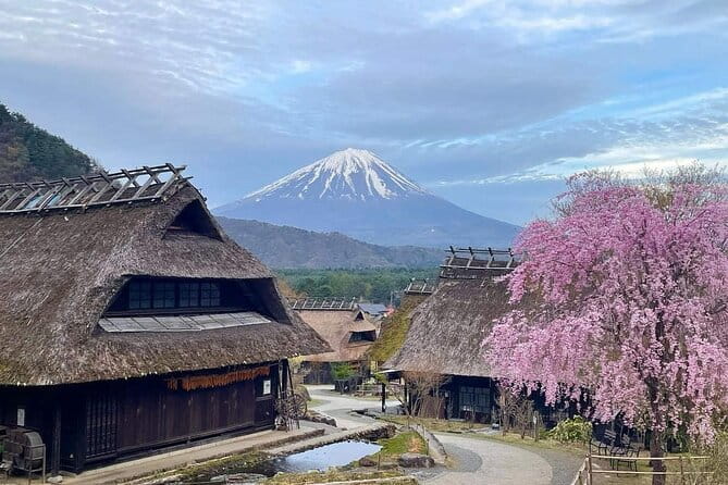 Mount Fuji Four Iconic Scenic Spots Day Tour From Tokyo - Preparing for the Tour