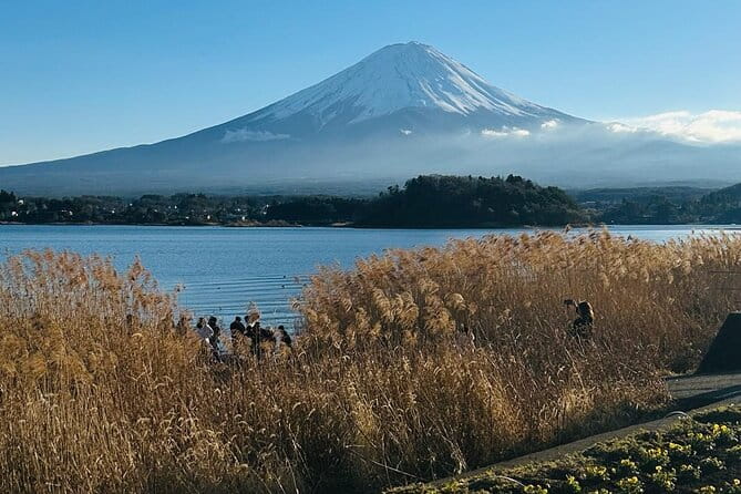 Mount Fuji Full Day Private Tour - Reviews and Ratings