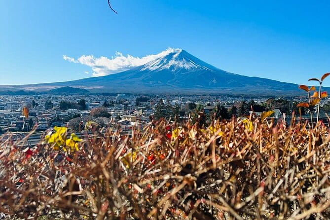 Mount Fuji Full Day Private Tour - Booking Your Tour