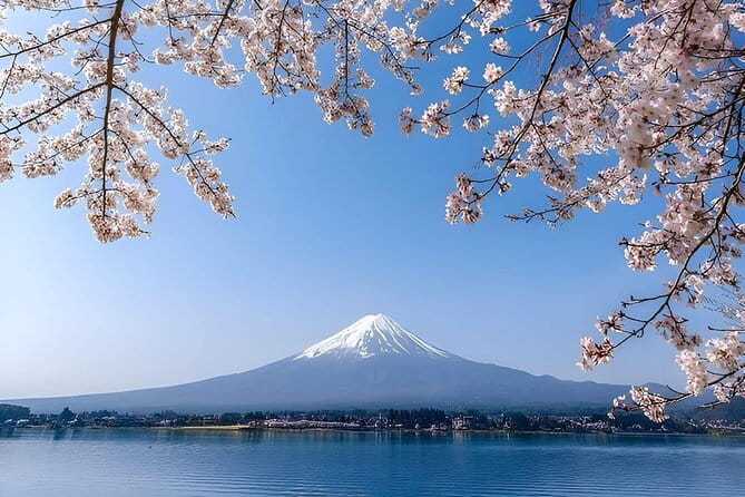 Mount Fuji Full Day Private Tour - Key Points
