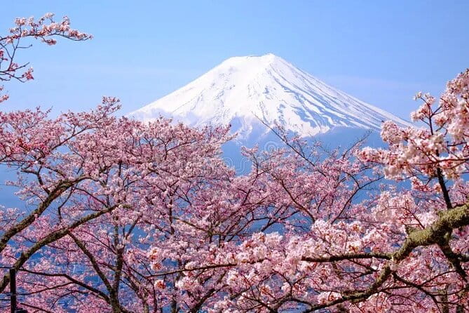 Mount Fuji Full Day Private Tour - Whats Included in the Experience