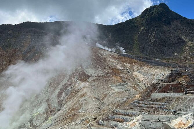 Mount Fuji Full Day Private Tour - Accessibility Features