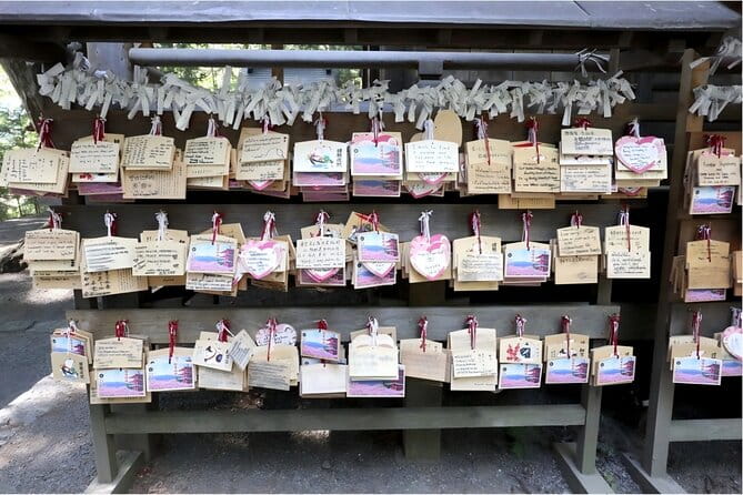 Mount Fuji Full Day Sightseeing Tour From Tokyo - Operational Adjustments and Customer Service