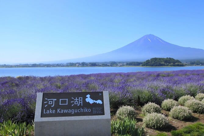 Mount Fuji Full Day Sightseeing Tour From Tokyo - Preparing for the Tour