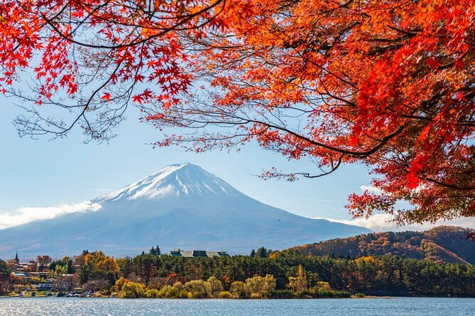 Mount Fuji Full Day Tour Form Tokyo Lake Kawaguchi & Yamanaka - Included in the Tour