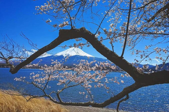 Mount Fuji Full Day Tour Form Tokyo Lake Kawaguchi & Yamanaka - Booking Flexibility