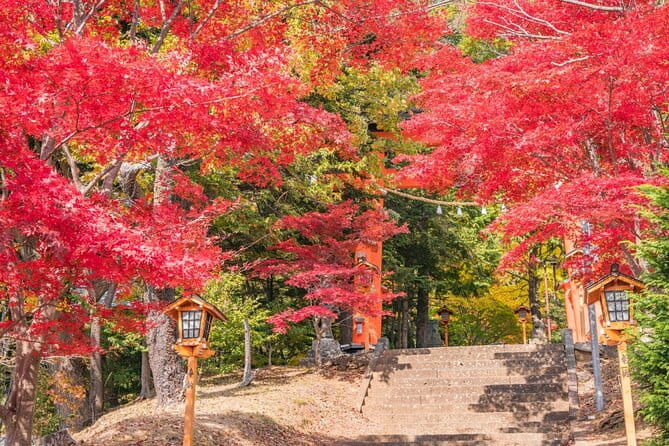 Mount Fuji Full Day Tour Form Tokyo Lake Kawaguchi & Yamanaka - Discovering Yamanaka