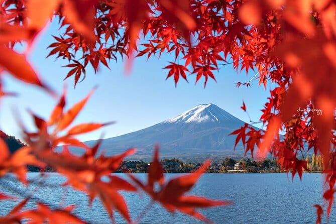 Mount Fuji Full Day Tour Form Tokyo Lake Kawaguchi & Yamanaka - Capturing the Beauty of Mount Fuji