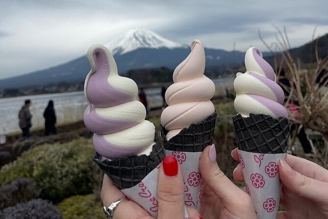 Mount Fuji & Hakone Private Customized Sightseeing English Trip - Key Points