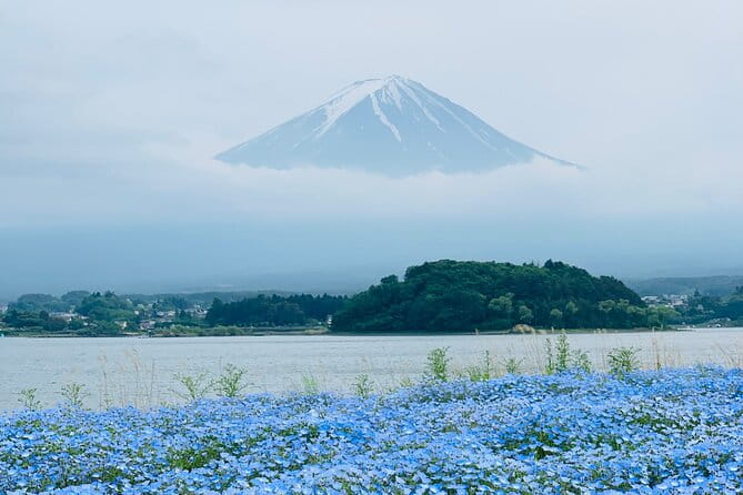 Mount Fuji & Hakone Private Customized Sightseeing English Trip - Pickup and Meeting Options