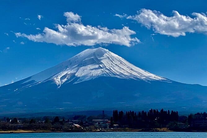 Mount Fuji & Hakone Private Customized Sightseeing English Trip - Accessibility and Participation