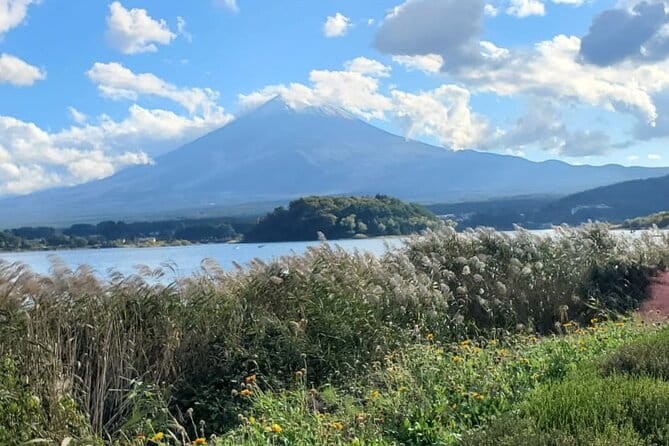 Mount Fuji & Hakone Private Guided Tour - Tour Highlights