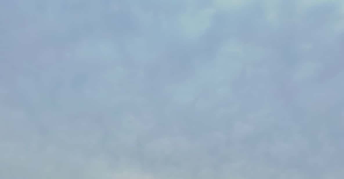 Mount Fuji Hakone With English-Speaking Guide - Itinerary Highlights