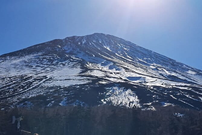 Mount Fuji (Mt. Fuji) Private Tour by Car With Pickup From Tokyo - Driver and Guide Quality