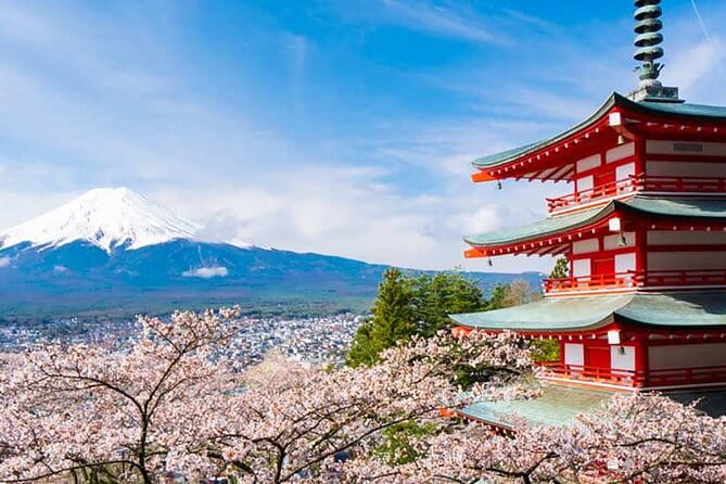 Mount Fuji One Day Tour From Tokyo Japan - Meeting and Departure Details