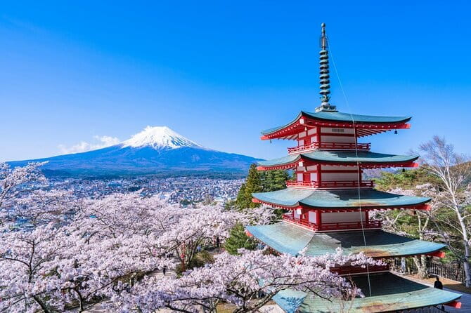 Mount Fuji Private Custom Tour From Tokyo - Lowest Price Guarantee and Booking Information