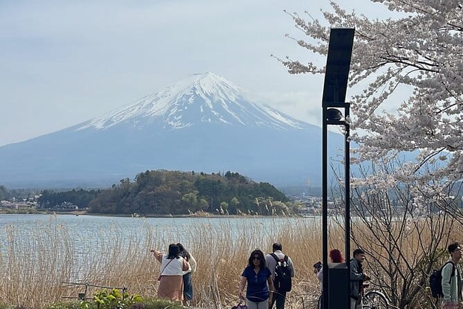 Mount Fuji Private Full Day Customize Tour With English Driver - Key Points