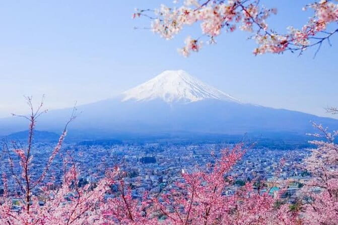 Mount Fuji Sightseeing Day Tour With English-Speaking Driver - Key Points
