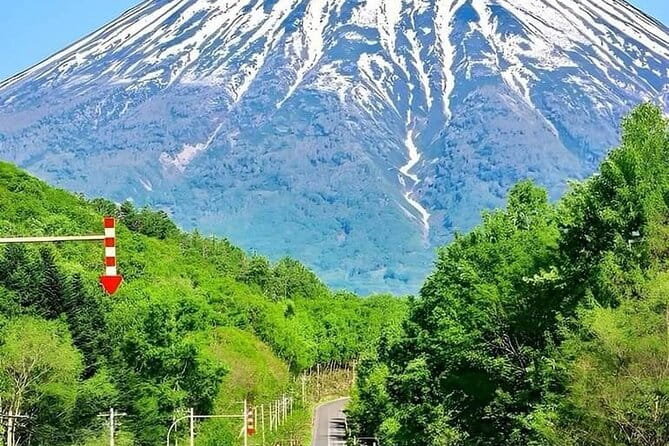 Mount Fuji Sightseeing One Day Tour From Shinjuku - Accessibility