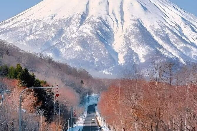 Mount Fuji Sightseeing One Day Tour From Shinjuku - Additional Information