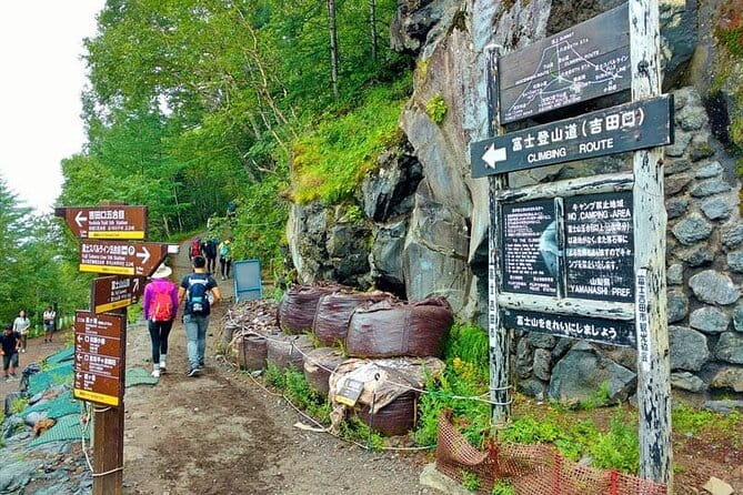 Mount Fuji Sightseeing One Day Tour From Tokyo - Highlights of the Tour