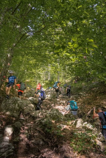 Mount Olympus: 2-Day Hiking Trip to Mytikas Peak - Customer Reviews