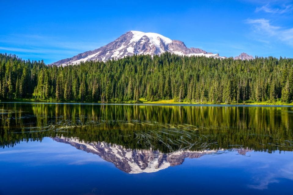 Mount Rainier National Park:Nature, Waterfalls,and Wildlife - Longmire Museum Exploration