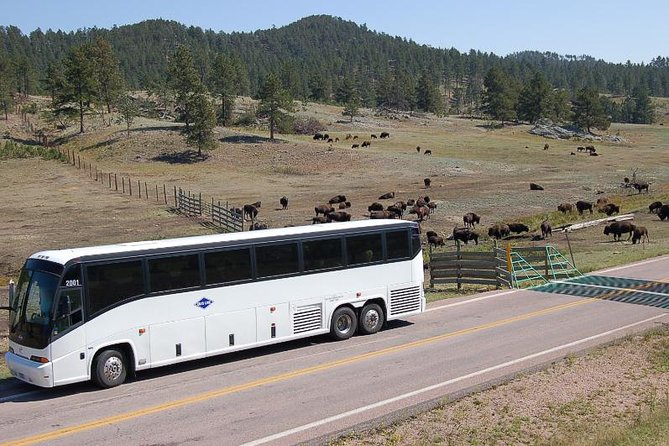Mount Rushmore and Black Hills Bus Tour With Live Commentary - Wildlife and Scenery