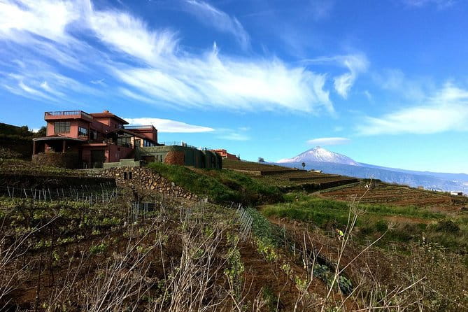 Mount Teide and Tenerife North with Food & Wine Tasting Private Tour - FAQ