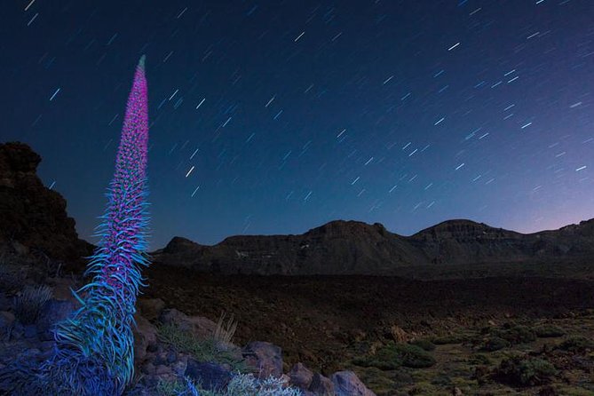 Mount Teide Night Tour: Stargazing, Dinner and Hotel Pick up - Itinerary and Highlights