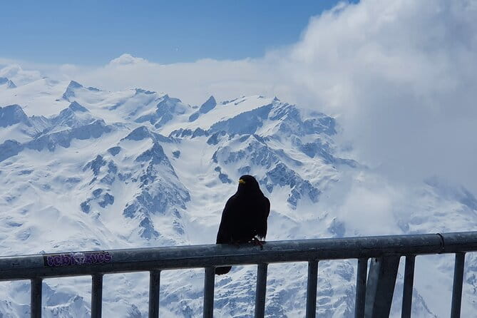 Mount Titlis Train Ticket and Self-Guided Tour from Luzern - The Value of Self-Guided Freedom