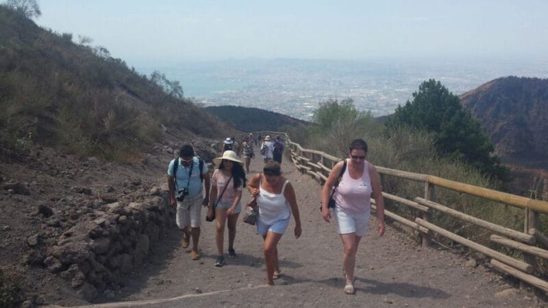 Mount Vesuvius 4-Hour Volcano Tour with Wine Tasting - Key points / Takeaways