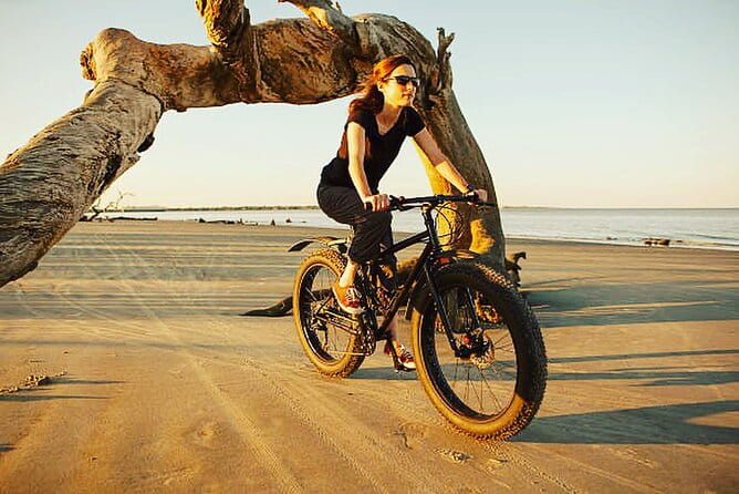 Mountain bike rental in Camargue - Discovering Camargue on Electric Scooters: A Practical Review