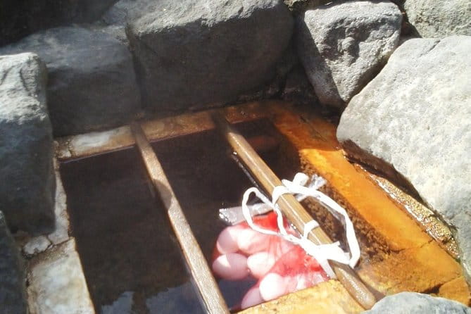 Mountain Bike Tour From Sapporo Including Hoheikyo Onsen and Lunch - Accessibility and Booking Information