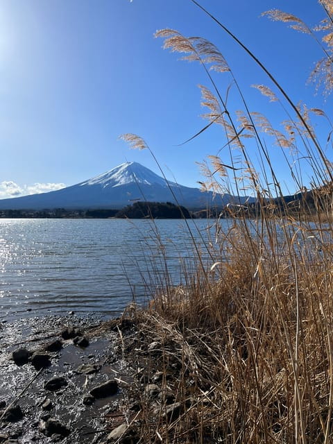 Mountain Fuji Instagram-Worthy Day Trip - Tour Guide and Services