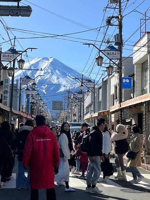 Mountain Fuji Instagram-Worthy Day Trip - Flexible Booking Options