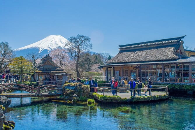 Mountain Fuji Tour In Japan With Professional English Tour Guide - Pricing and Group Size
