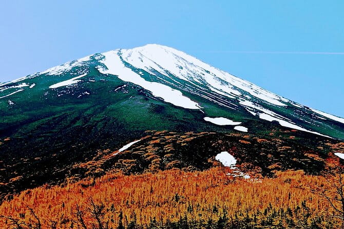 Mountain Fuji Tour In Japan With Professional English Tour Guide - Communication and Support During the Tour