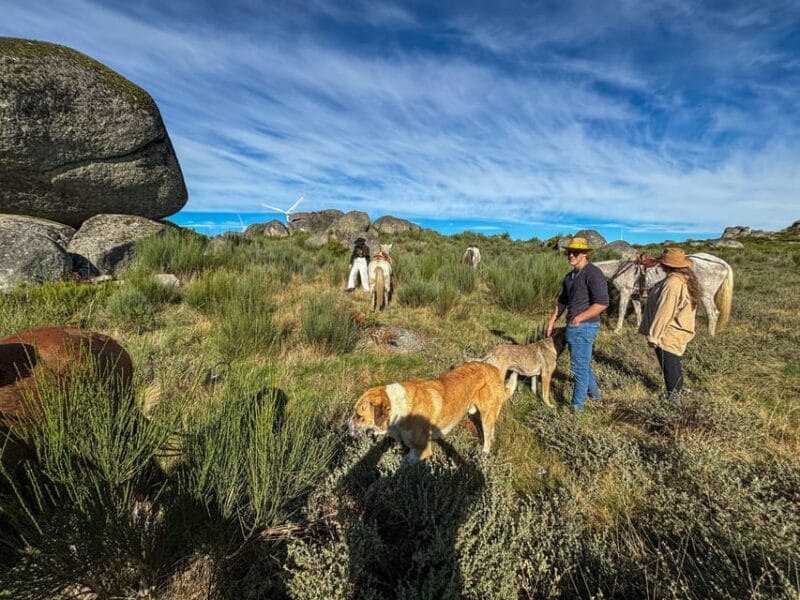 Mountain Horseback Ride, Lunch, Wine Tasting - Key Points and Takeaways