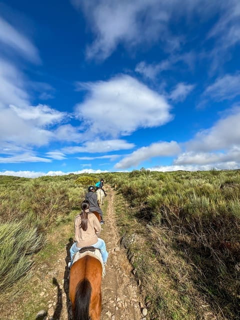 Mountain Horseback Ride, Lunch, Wine Tasting - Final Thoughts: Is It Right For You?