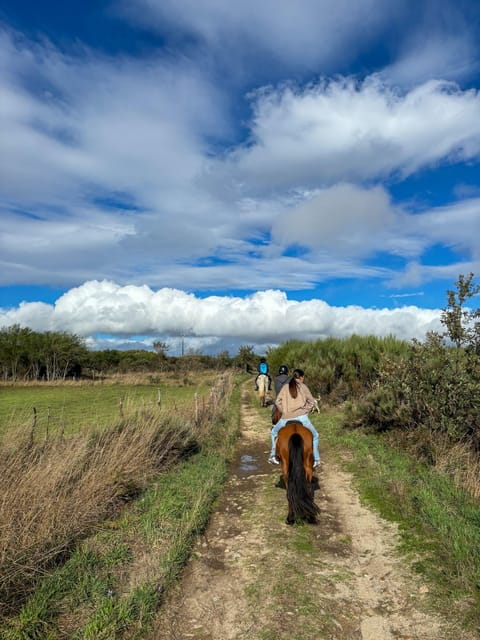 Mountain Horseback Ride, Lunch, Wine Tasting - FAQs