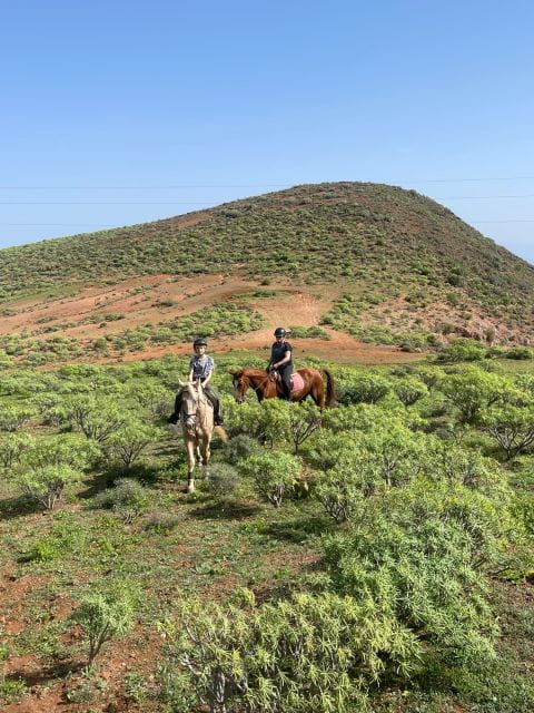 Mountain Panoramic Tour of 2 Hours - Experience Details